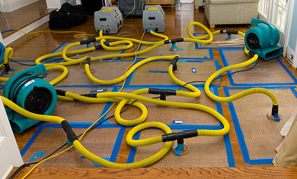 Professional Basement Flood Cleanup technician working in Marlton, NJ